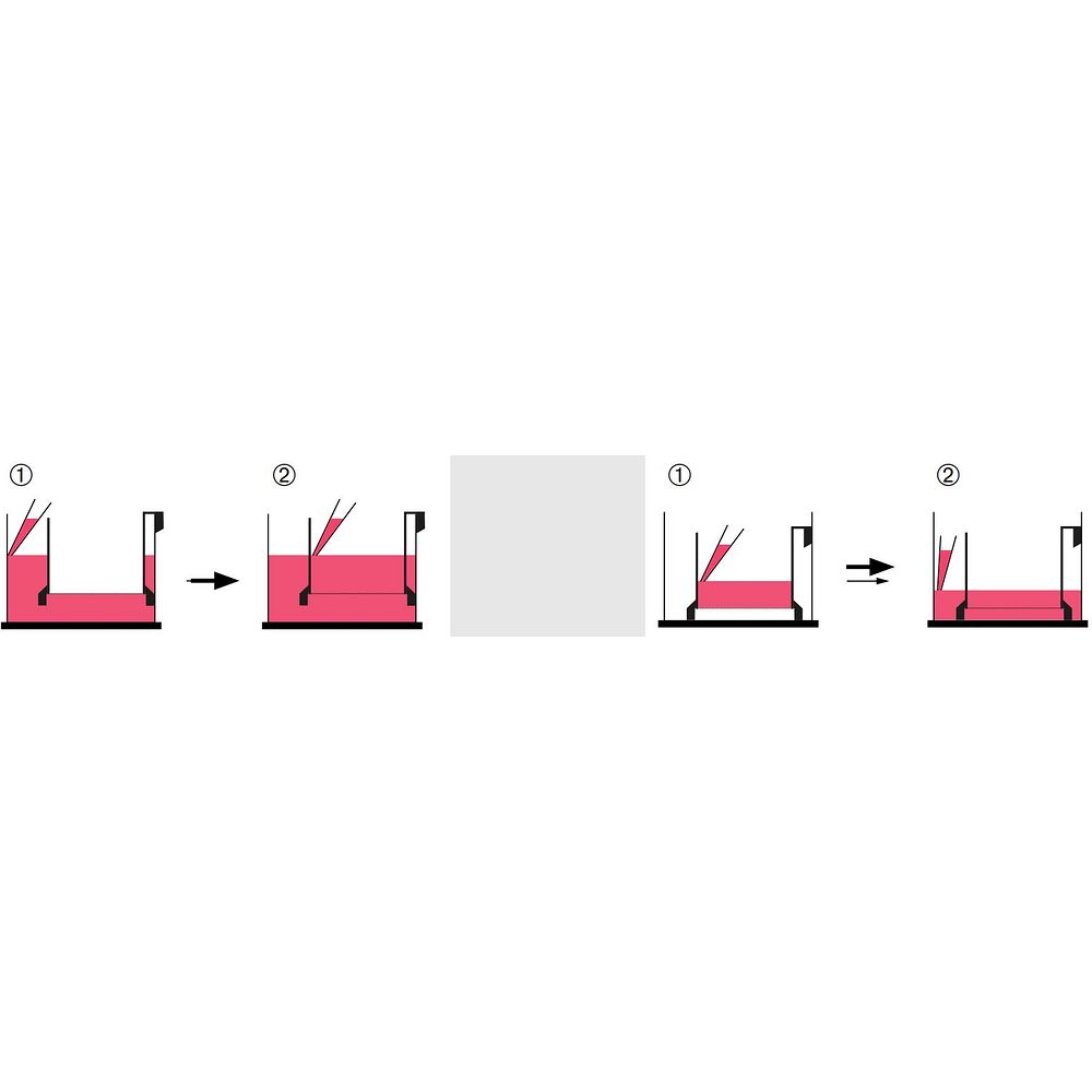 Inserts, membrane en PET