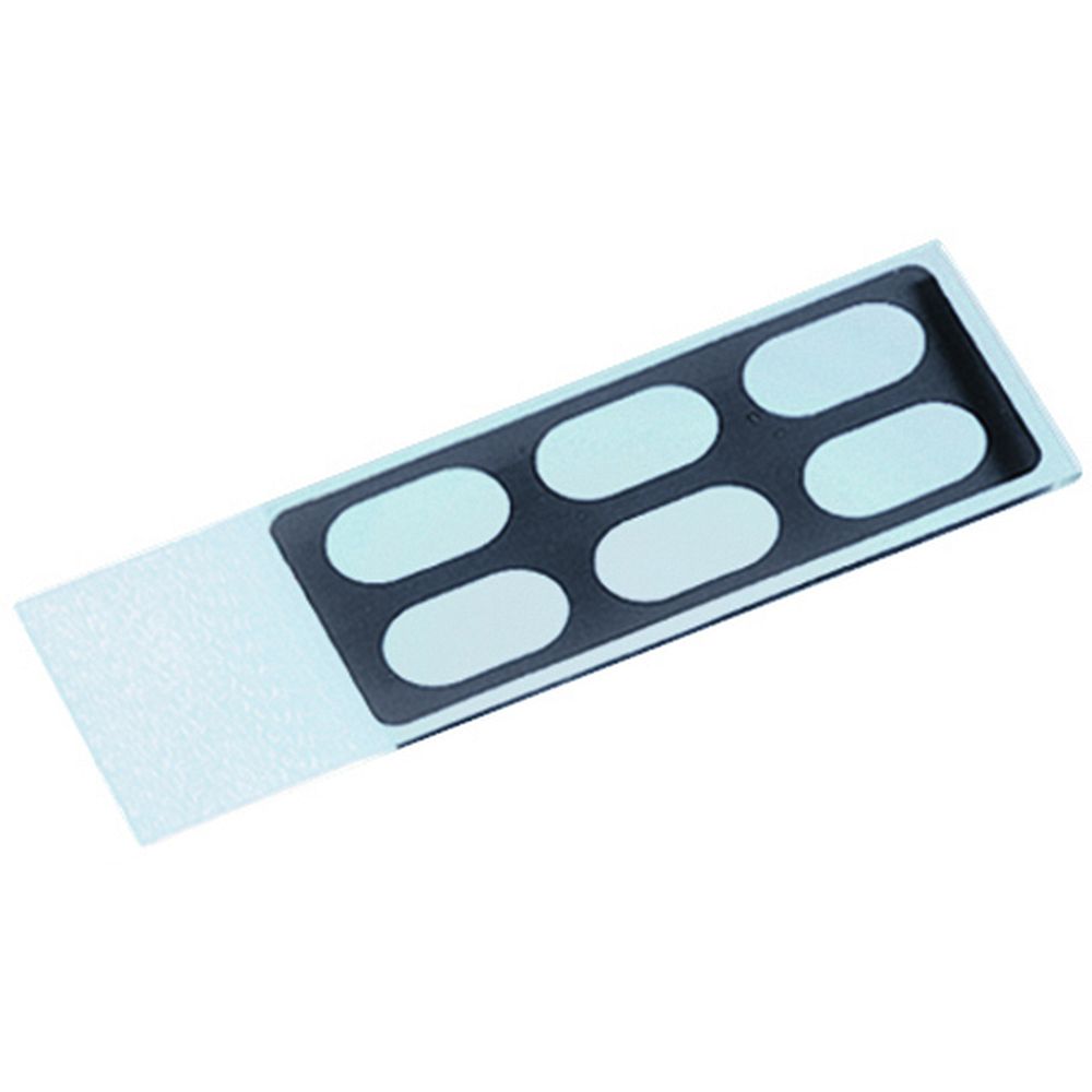 Lames LMR® pour immunofluorescence revêtement Téflon®