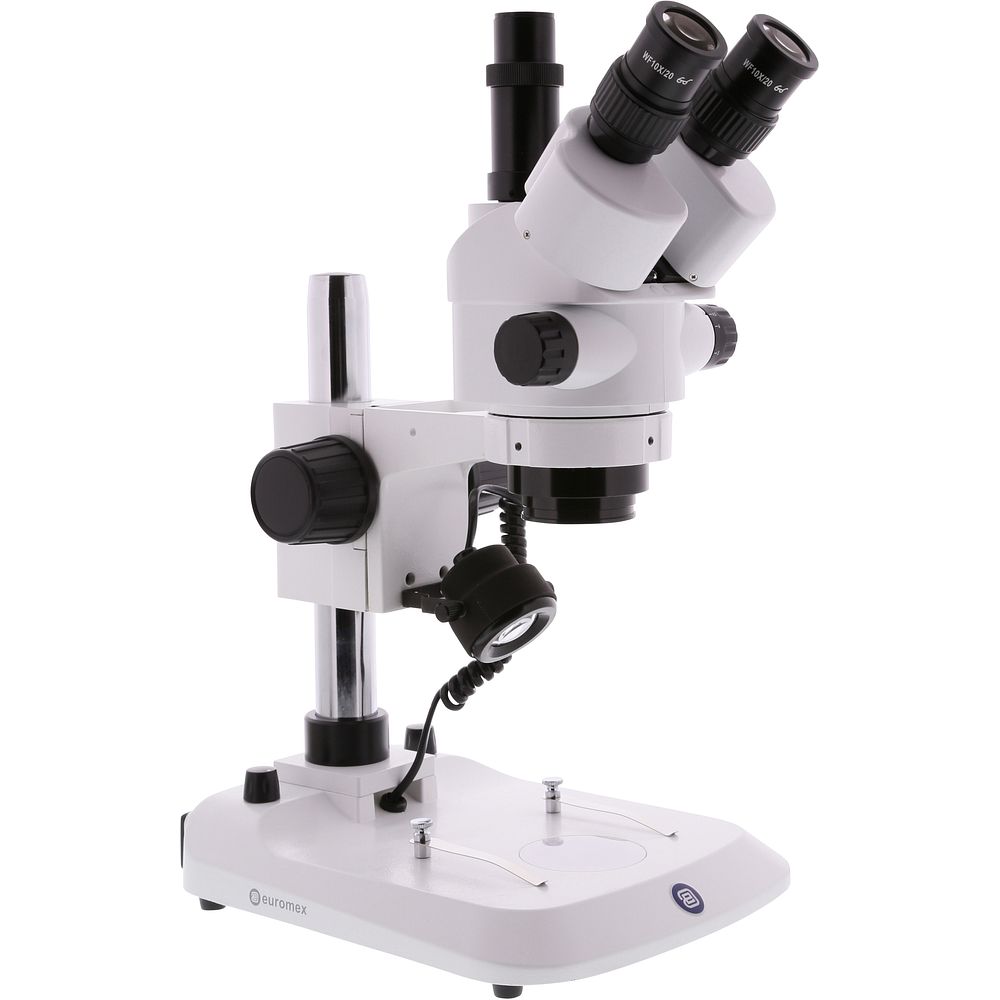 Stéréomicroscopes LED zoom continu laboratoire et enseignement