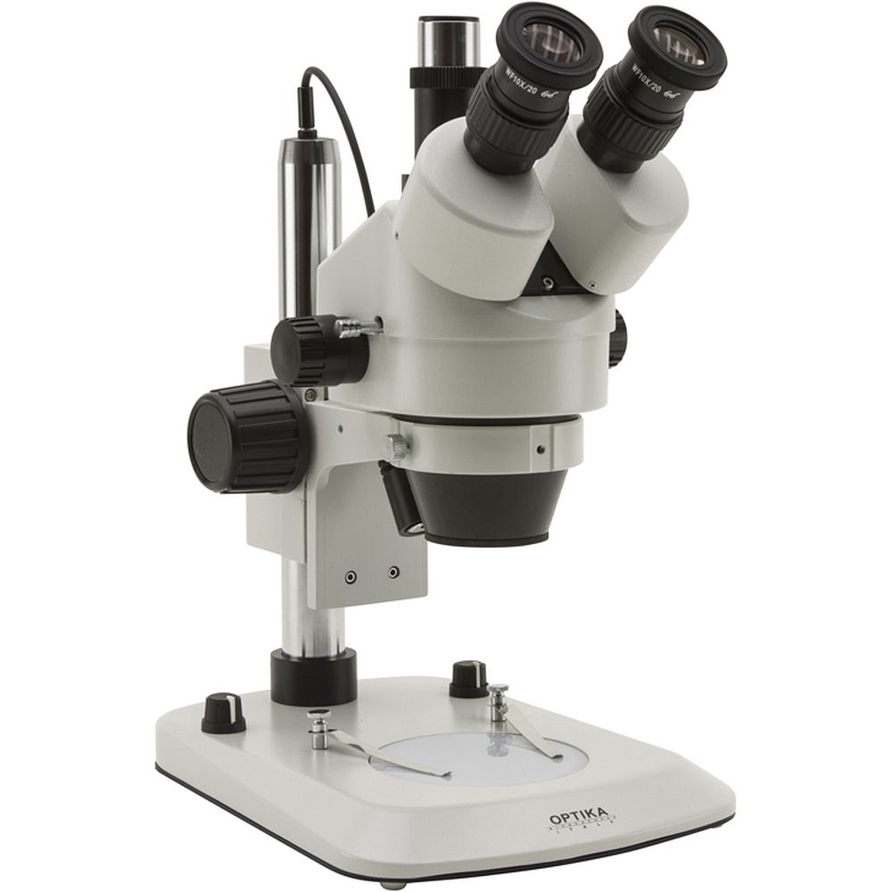 Stéréomicroscopes éclairage LED ou halogène zoom jusqu'à 180x